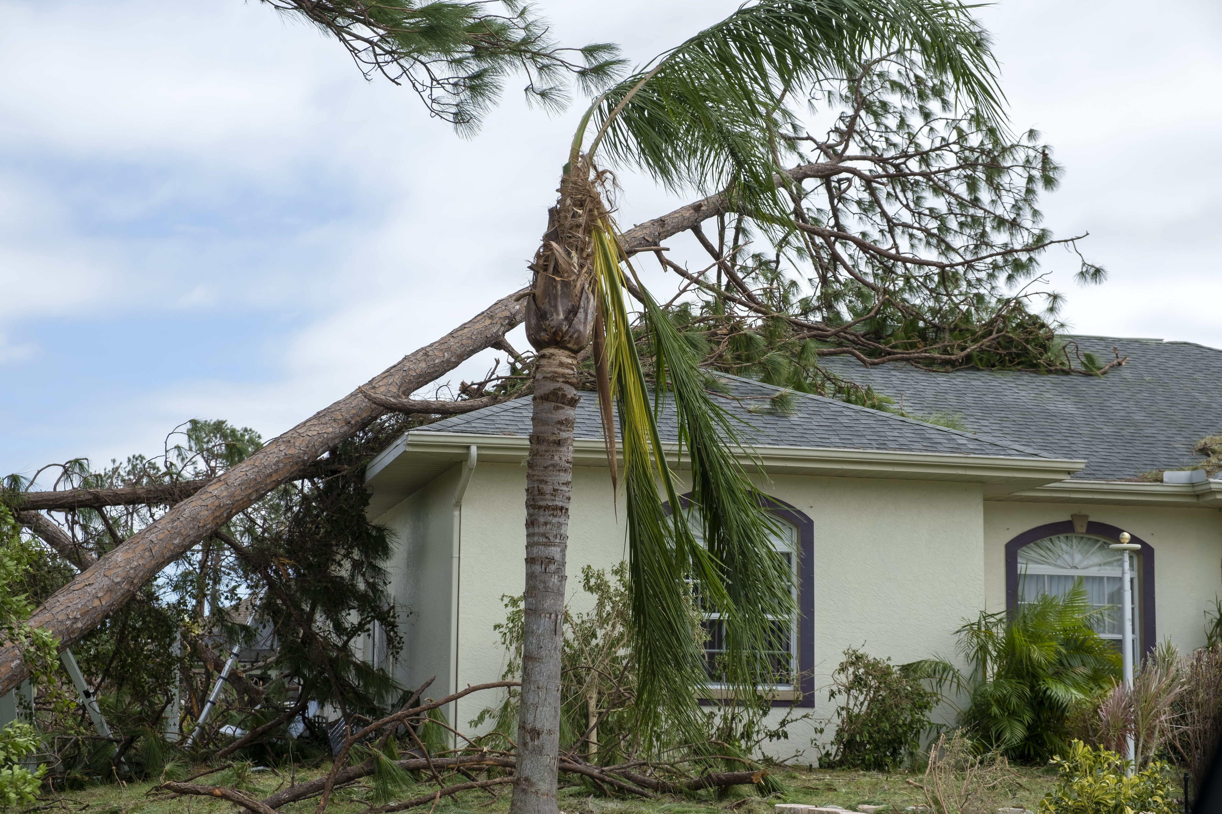 Tree impact damage on a residential property following a storm event
